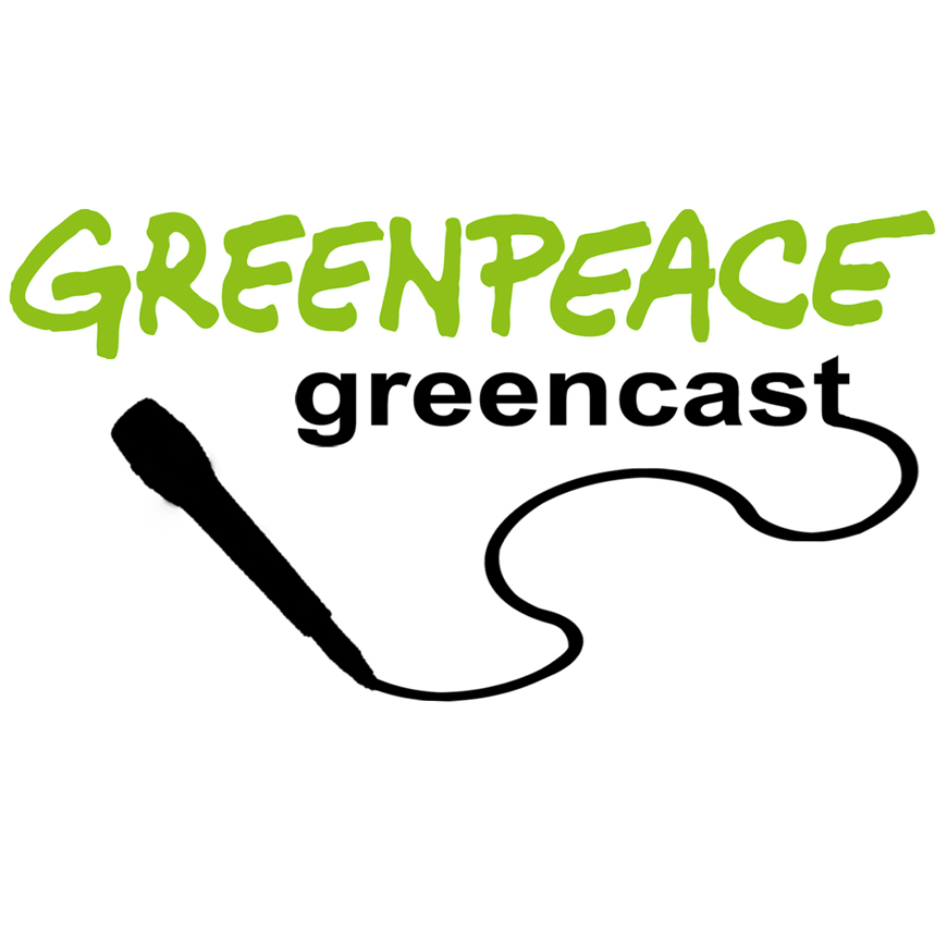Greencast #06 Spezial: Kumi Naidoo
